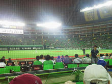 hawks120929.jpg