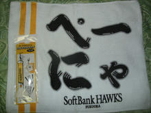 hawks121008-3.jpg