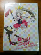 (」・ω・)」うー！(／・ω・)／にゃー！ 