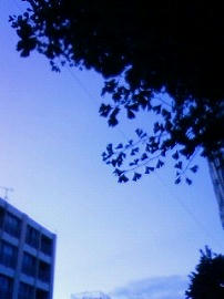NEC_0157.jpg