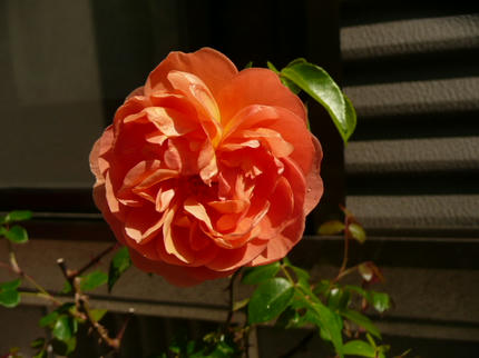 65f3e6ae.JPG