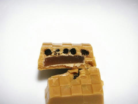 02_A5C1A5EDA5EB_BEC6A4ADA4CAA4B3A4E2A4C1_C3C7CCCC.jpg