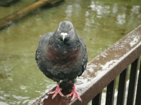 57790cf3.jpg