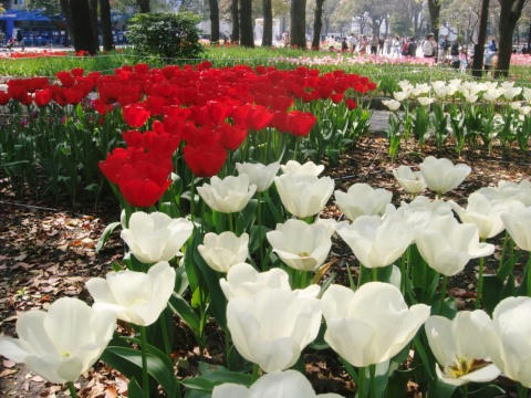 6d7ef725.jpg