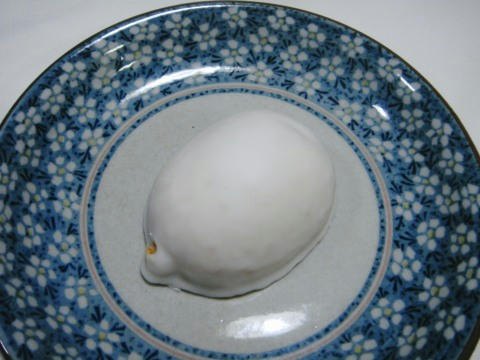2f44ef8e.jpg