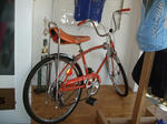 b36.jpg