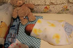 2010_1117_103639.jpg