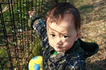 s-IMG_8338.jpg