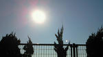 NEC_0054.jpg