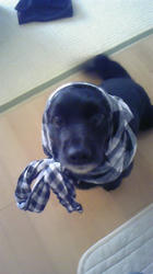 090404_100915.jpg