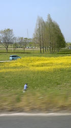 090412_140334.jpg