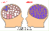 69705057gif