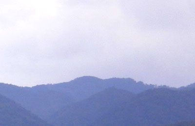 山間部素材007 素材