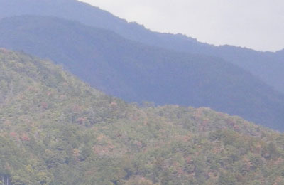 山間部素材009 素材