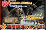 medama_quest_080409_ksd.jpg