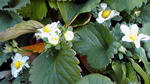 200903211659000.jpg
