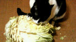 200903170012000.jpg