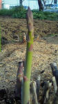 200903211651000.jpg