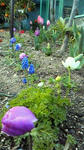 200904051814000.jpg