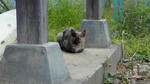 200905051121000.jpg