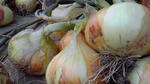 200905031403000.jpg