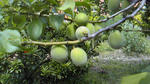 200905031400001.jpg