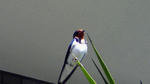 200905180903001.jpg