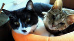 200905161704001.jpg