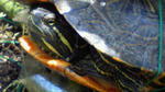 200905231051001.jpg