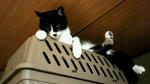 200908260651001.jpg