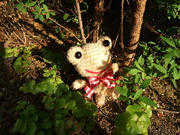 DSCF0009.jpg