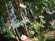 DSCF0012.jpg