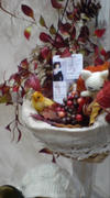 20081109232945.jpg