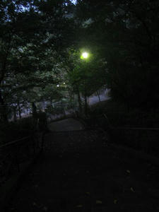 IMG_0207.jpg