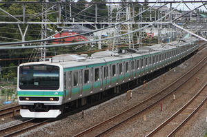IMG_0154m.jpg