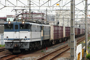 IMG_0205m.jpg