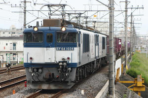 IMG_0217m.jpg