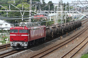 IMG_0231m.jpg