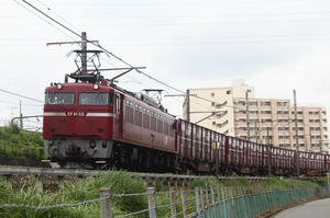 IMG_0227m.jpg