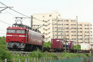 IMG_0395m.JPG