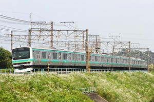 IMG_0417m.JPG