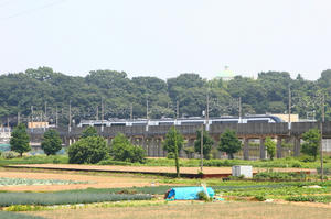 IMG_0413m.JPG