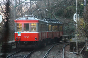 IMG_3217.JPG