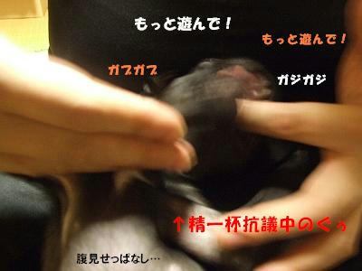 700b7087.jpg