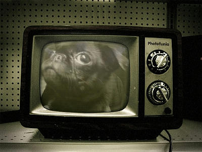 PhotoFunia_3b84e.jpg