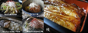 0580203b.jpg