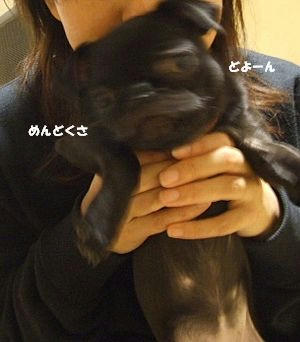 f63abc06.jpg