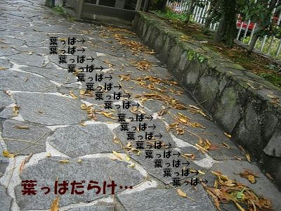 5f5bc5bc.jpg