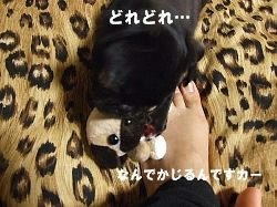 60b947d9.jpg