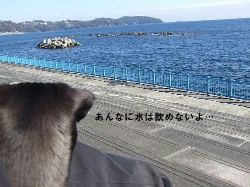 94bdfbd4.jpeg